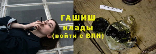 молекула духа Бородино