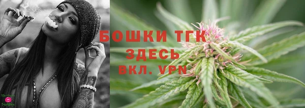 молекула духа Бородино