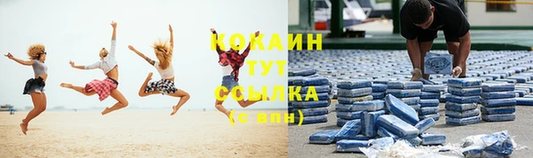 молекула духа Бородино