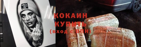 молекула духа Бородино