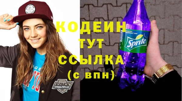 молекула духа Бородино