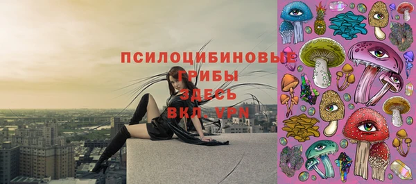 гидропоника Бугульма