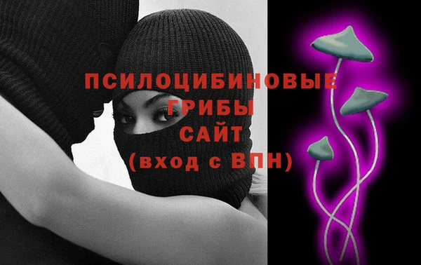 молекула духа Бородино