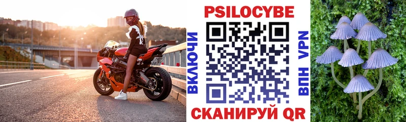 купить наркоту Мурино Галлюциногенные грибы ЛСД